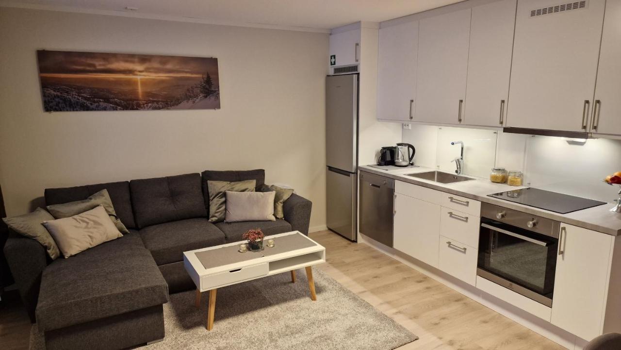 Haugetuft Apartments Amot  Eksteriør billede